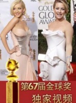 完美的妻子